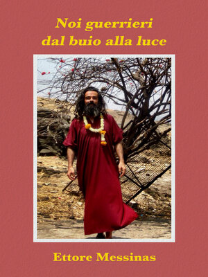 cover image of Noi guerrieri dal buio alla luce